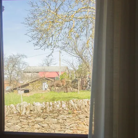Séjour à la ferme Casa De Brito Edral